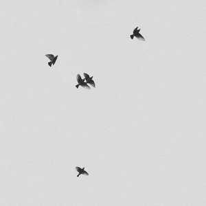 Elevate