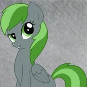 Avatar for Forest Rain