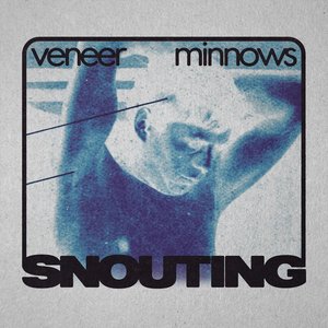 Veneer