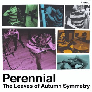 The Leaves Of Autumn Symmetry