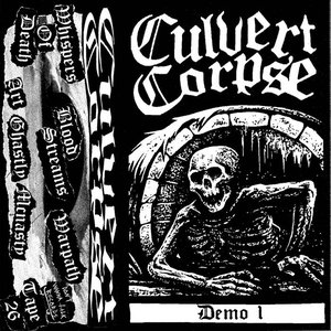 DEMO 1