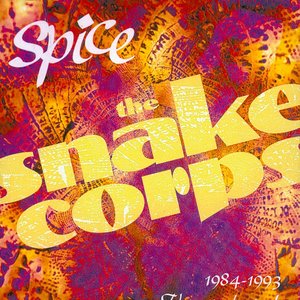Spice: 1984-1993: The Very Best of...