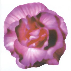 aboutpop のアバター