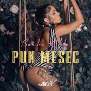 Artwork for Pun Mesec