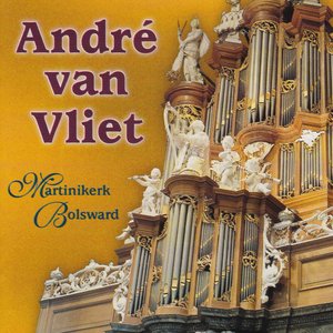 Martinikerk, Bolswaard