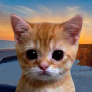 Avatar for sleepy kitten
