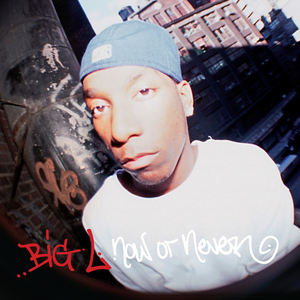 Now Or Never album cover