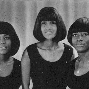 Awatar dla The Mirettes