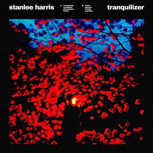 tranquilizer