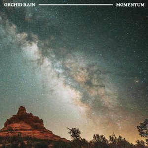 Momentum