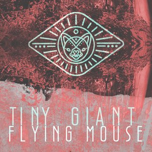 flying mouse