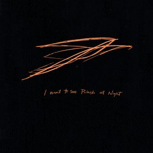 I Want to See Pulaski at Night album cover