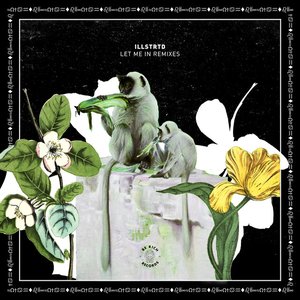 Let Me In (Remixes)