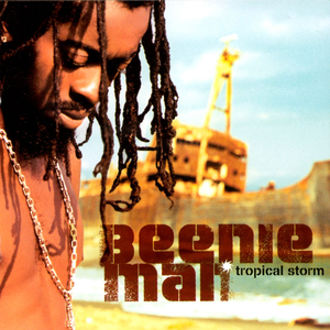 Beenie Man feat.Janet - Feel it boy