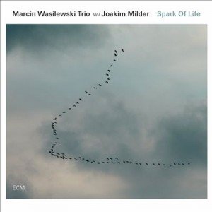 Spark Of Life