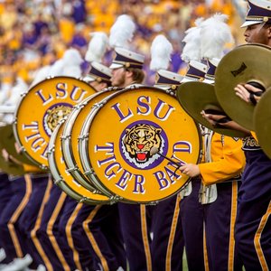 Avatar for LSU Tiger Marching Band