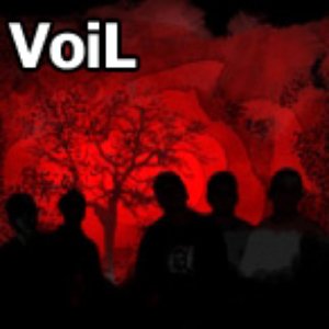 Voil のアバター