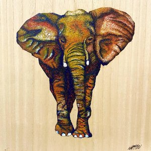 The Elephant