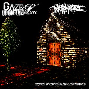 myriad of self inflicted stab wounds