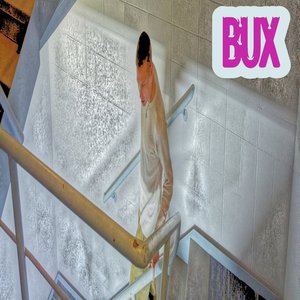 Bux County