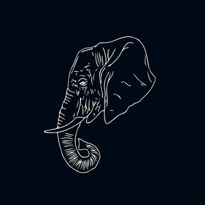 Elephant Room