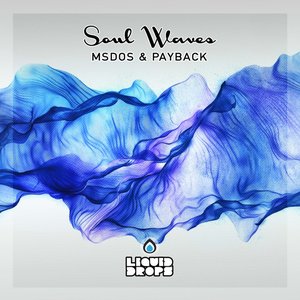 Soul Waves Lp