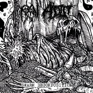 SWARM DECOMPOSITION