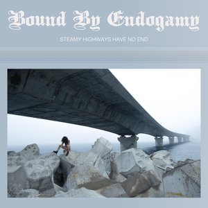 Steamy Highways Have No End