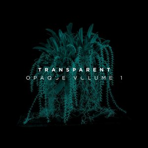 Opaque, Vol. 1
