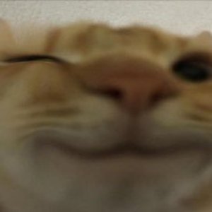 Avatar for abstrekt