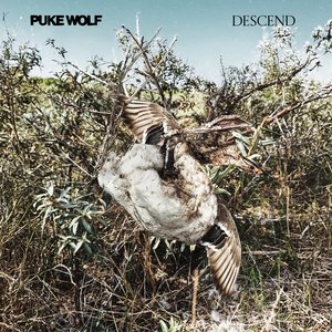Descend