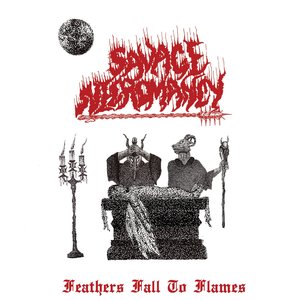Feathers Fall To Flames