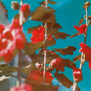 Artwork for the color of the sky