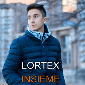 Artwork for Insieme