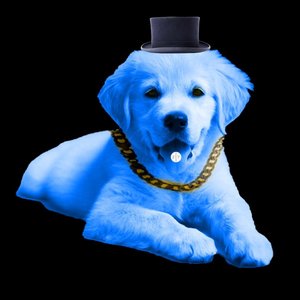 Avatar di Plutostone