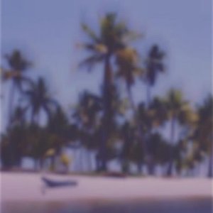 Avatar for Hybrid Palms