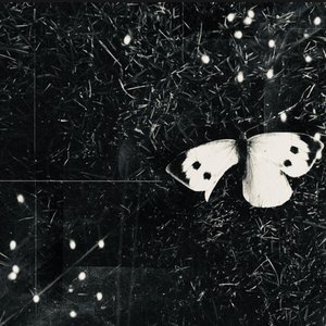 Will You Remember Me?