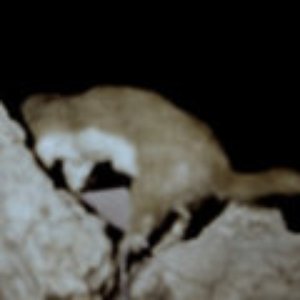 Avatar for TeenageCarCrash