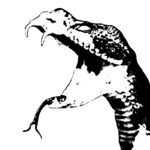 Avatar for ALHTHINOS GEORGIANOS