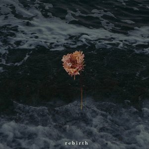 Rebirth