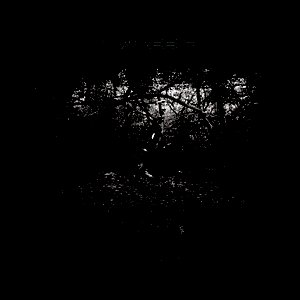 Last Shadow