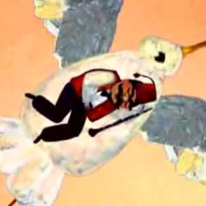 Avatar for Turkish lullaby