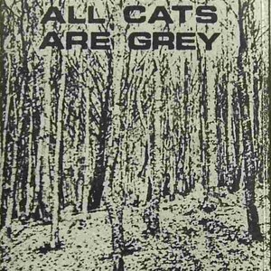 Awatar dla All Cats Are Grey