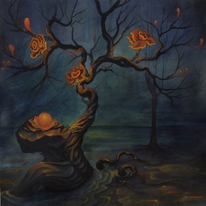 Pallbearer