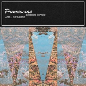 Echoes in the Well of Being