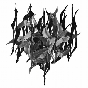 Yves Tumor