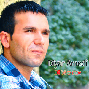Dil Be Te Nabe by Diyar Amedi