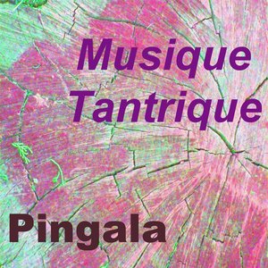 Musique tantrique (Vol. 4)