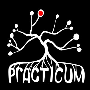 Avatar for Practicum