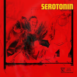 Artwork for serotonin